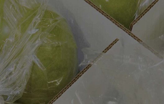 Dow Chemical Ibérica 